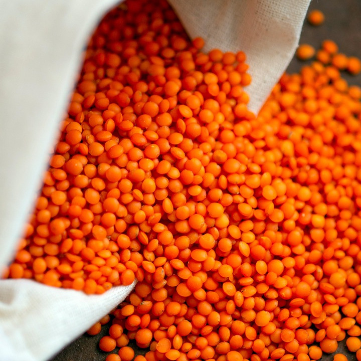 veteran nutrition consultation